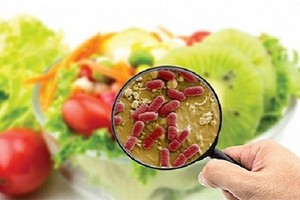 热天如何避免食物中毒？