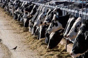 （示意图：互联网）