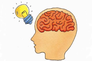 科学家发现决定记忆持续时间机制