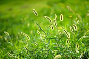 （示意图：互联网）