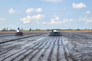 在优质水稻生产流程中，很多工序将获机械化。（图：永祥）