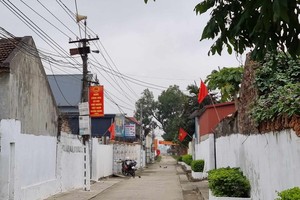 民户在节日期间悬挂国旗。（图：互联网）