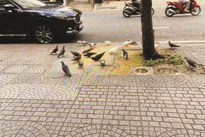 （示意图：互联网）