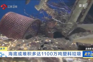 海底或堆积1100万吨塑料垃圾