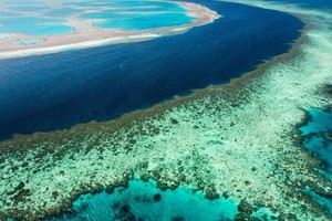 澳洲大堡礁正发生严重珊瑚白化。（图：Sky News Australia）