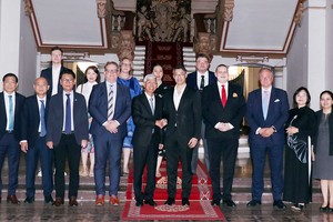 促进与德企在绿色及数字领域合作