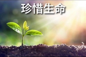 （示意图：互联网）