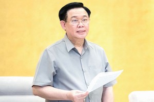 国会常委会对法律法令制定计划提意见