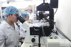 图为市国立大学所开展的科学研究活动一隅。（图：人民报）