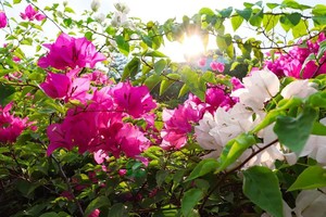 （示意图：互联网）