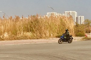 在高温烈日下变黄的数千平方米草地。