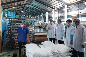 庆和省领导与各部门代表最近参观龙生公司的生产活动。