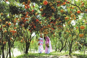 （示意图：互联网）