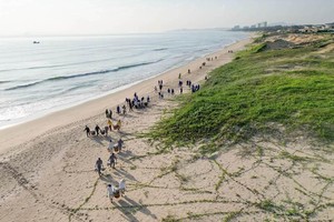 度假产业环保趋势强