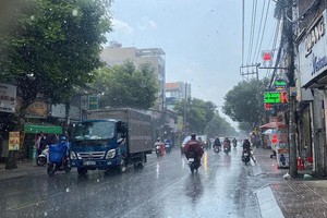 车辆在雨中行驶。（图：爱媚）