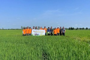 需为九龙江平原地区制定应对天灾问题的措施。（图：永祥）