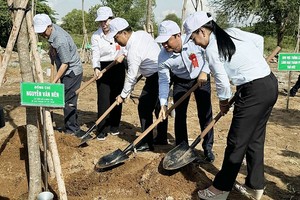 “世代铭记胡伯伯功恩植树节”发起
