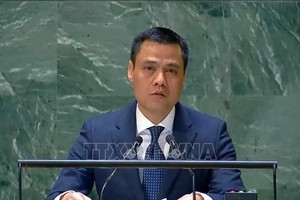 越南常驻联合国代表团团长邓黄江在庆典上发表讲话。（图：越通社）