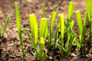 （示意图：互联网）