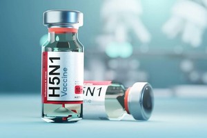 禽流感疫苗。（示意图：Getty Images）