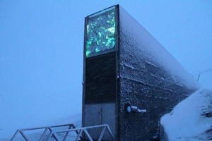 图为位于挪威斯瓦尔巴群岛的斯瓦尔巴全球种子库入口。（图：新华社）