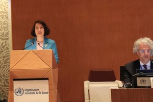 越南卫生部副部长阮氏莲香发表讲话。（图：越通社）