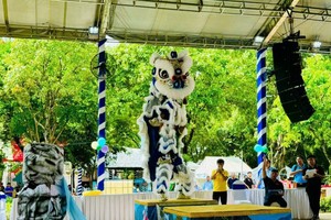 市少儿传统南狮与龙狮联欢比赛