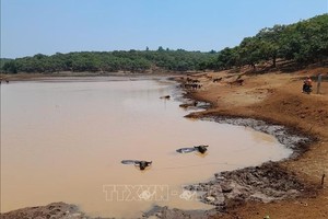 图为平福省补家肥县补家肥边境乡的天然水库因干旱而逐渐干涸。（图：越通社）