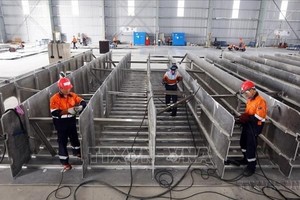 在巴地-头顿省东川工业区的越南Austal公司钉造船只。（图：越通社）