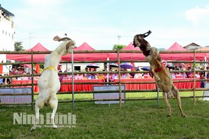 鼓励农民打造独特产品