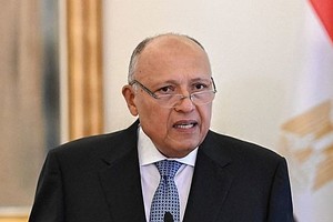 埃及外长舒凯里。（图：AFP）