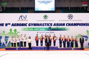 组委会颁奖（图：互联网）