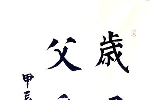 积康书法作品欣赏