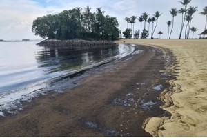 圣淘沙岛的丹戎海滨出现大片油渍。（图：CNA）