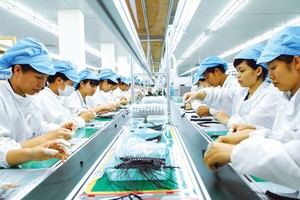 越南的生产流程日益满足外国市场标准。（图：VNA）