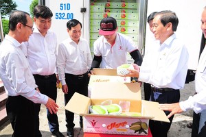 各代表参观将出口的绿皮芒果。（图：永祥）