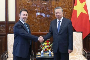 国家主席接见各国大使