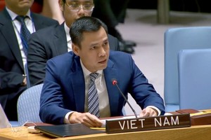 越南常驻联合国代表团团长邓黄江大使在会上发表讲话。（图：越通社）