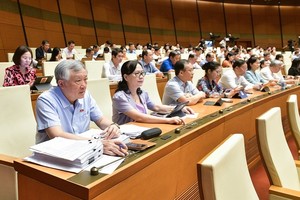 国会代表按钮表决通过《人民法院组织法》(修订) 草案。（图：VOV）