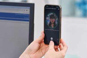 （示意图：VNN）