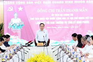 国会主席陈清敏在会议上发表指导意见。（图：林显）