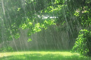 （示意图：互联网）