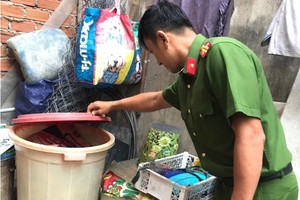 平政县永禄Ｂ乡职能力量检查储水容器以消除孑孓来源。