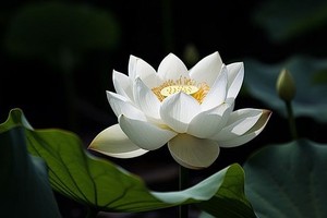 此恩此情永在心中深处