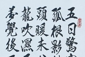 王玉照书法作品欣赏 