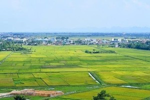 8月1日起在全国开展土地盘点。（示意图：互联网）