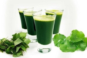 积雪草有利健康但也要慎用