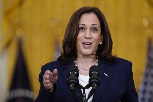 美国副总统哈里斯。（图：互联网）