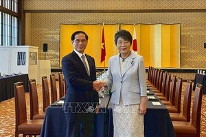 越南外交部长裴青山（左）与日本外务大臣上川阳子共同主持越日合作委员会会议。（图：越通社）