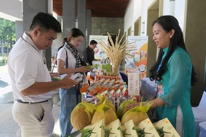 茶荣省旅游文化美食推广